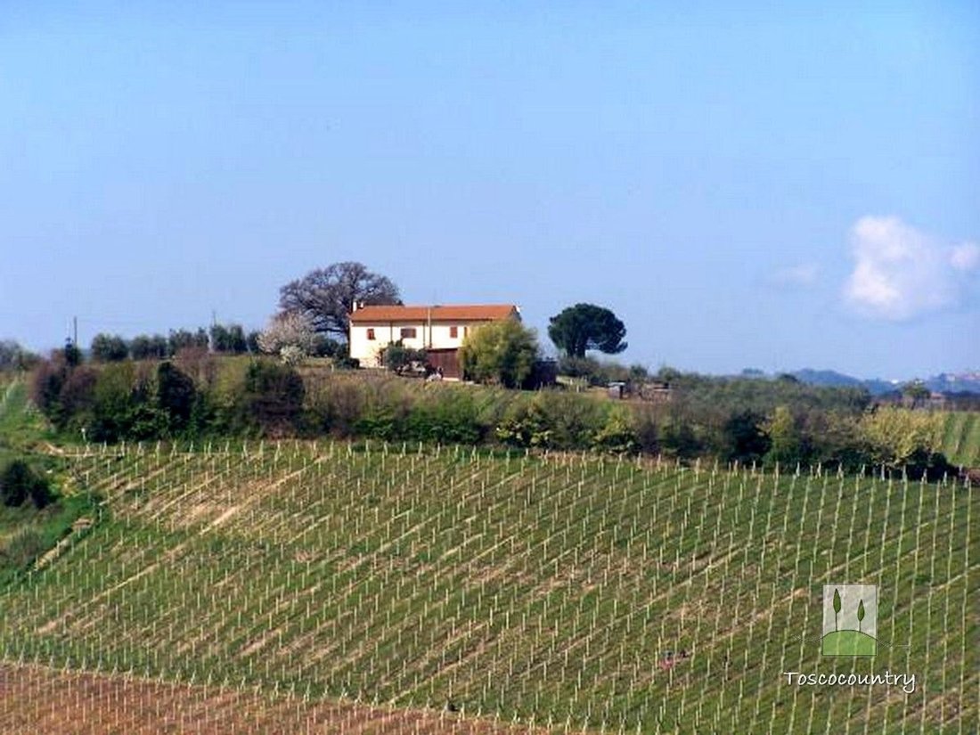 Country House in Terricciola, Tuscany, Italy 2 - 17612836
