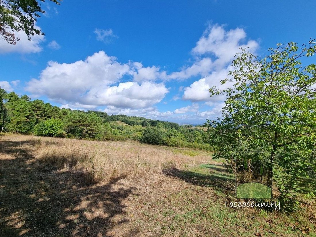 Country House in Chianni, Tuscany, Italy 3 - 17612853