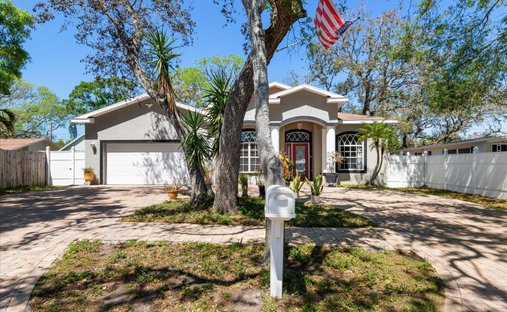 Casa en San Petersburgo, Florida, Estados Unidos 1