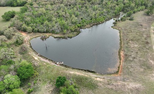 Land in Milano, Texas, United States 1
