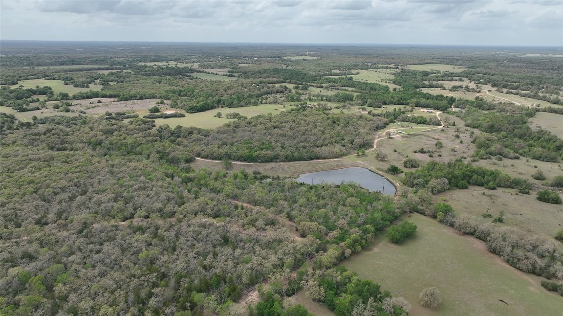 Land in Milano, Texas, United States 5 - 17598510