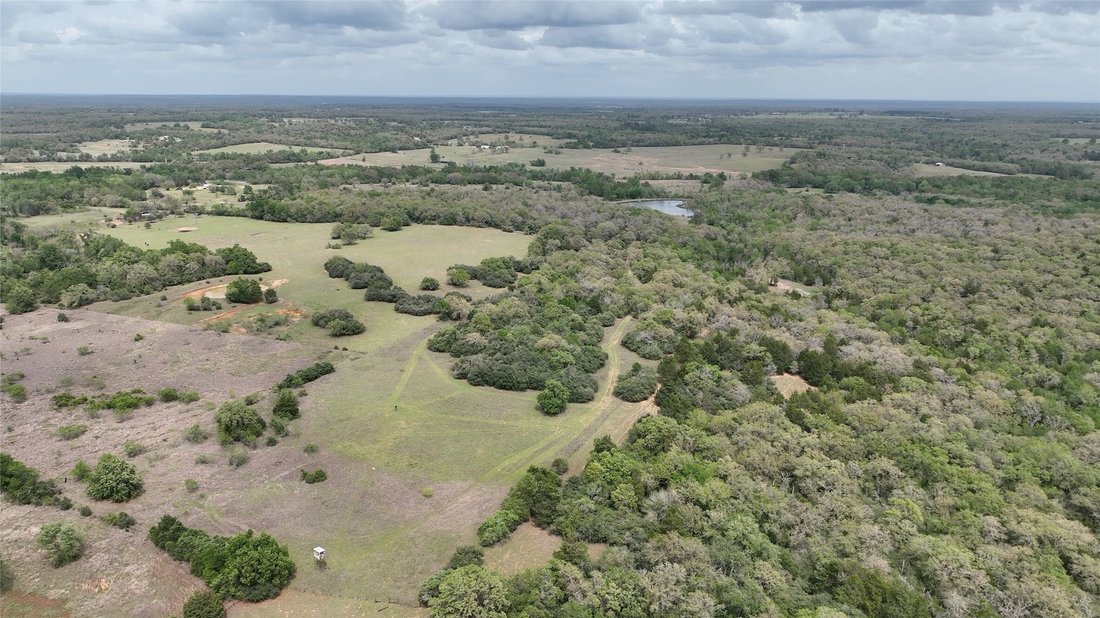 Land in Milano, Texas, United States 3 - 17598510