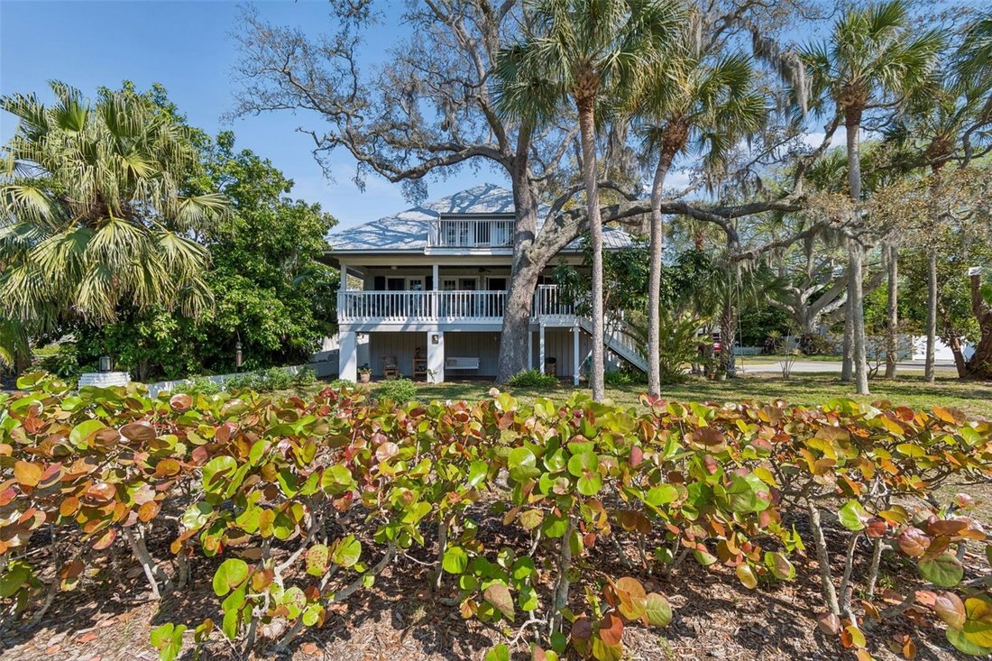 House in Palm Harbor, Florida, United States 1 - 17604061