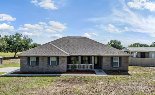 House in Wimauma, Florida, United States 1