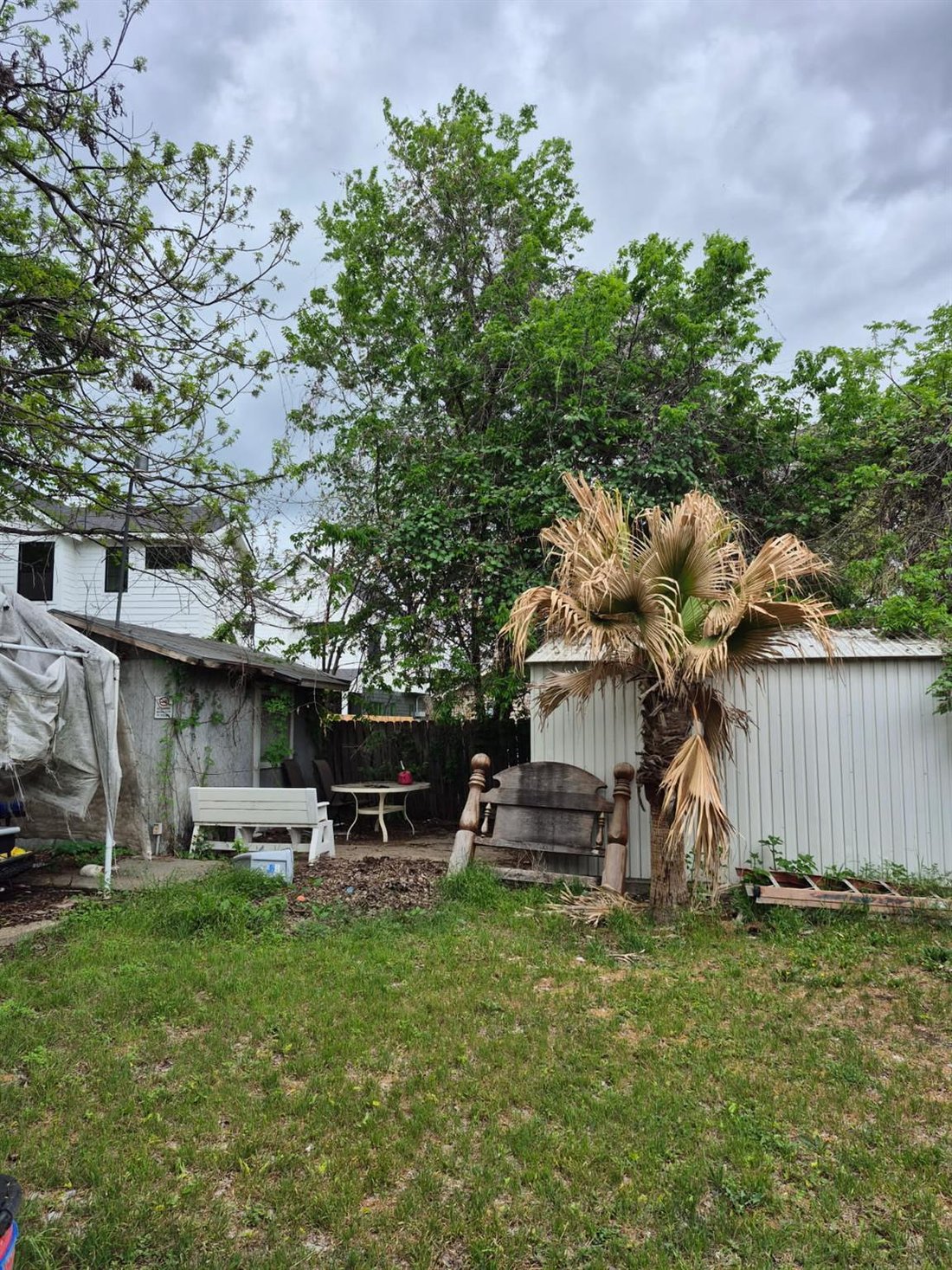 House in Austin, Texas, United States 5 - 17613354
