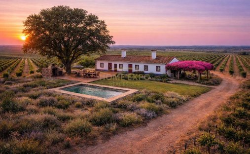Farm Ranch in São Teotónio, Beja, Portugal 1