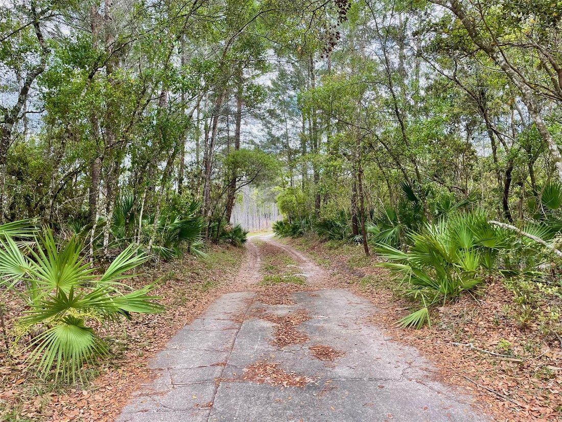 House in Geneva, Florida, United States 3 - 17603804