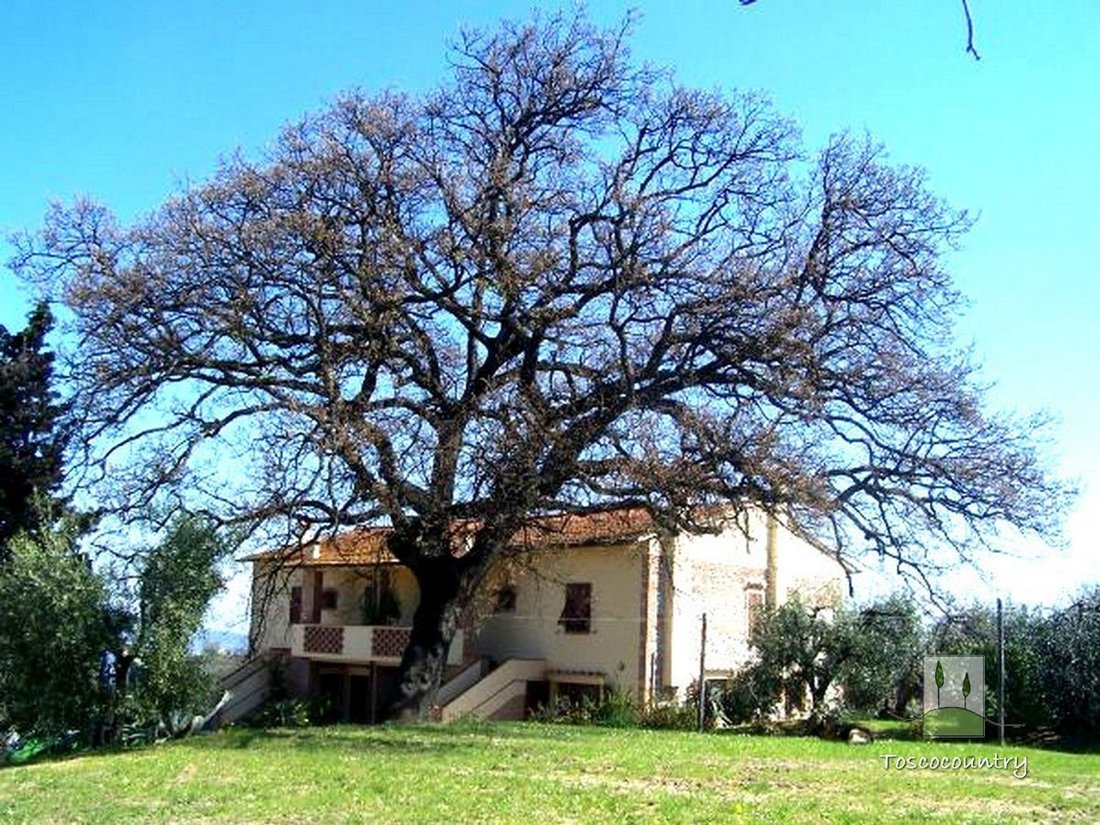 Country House in Terricciola, Tuscany, Italy 4 - 17612836