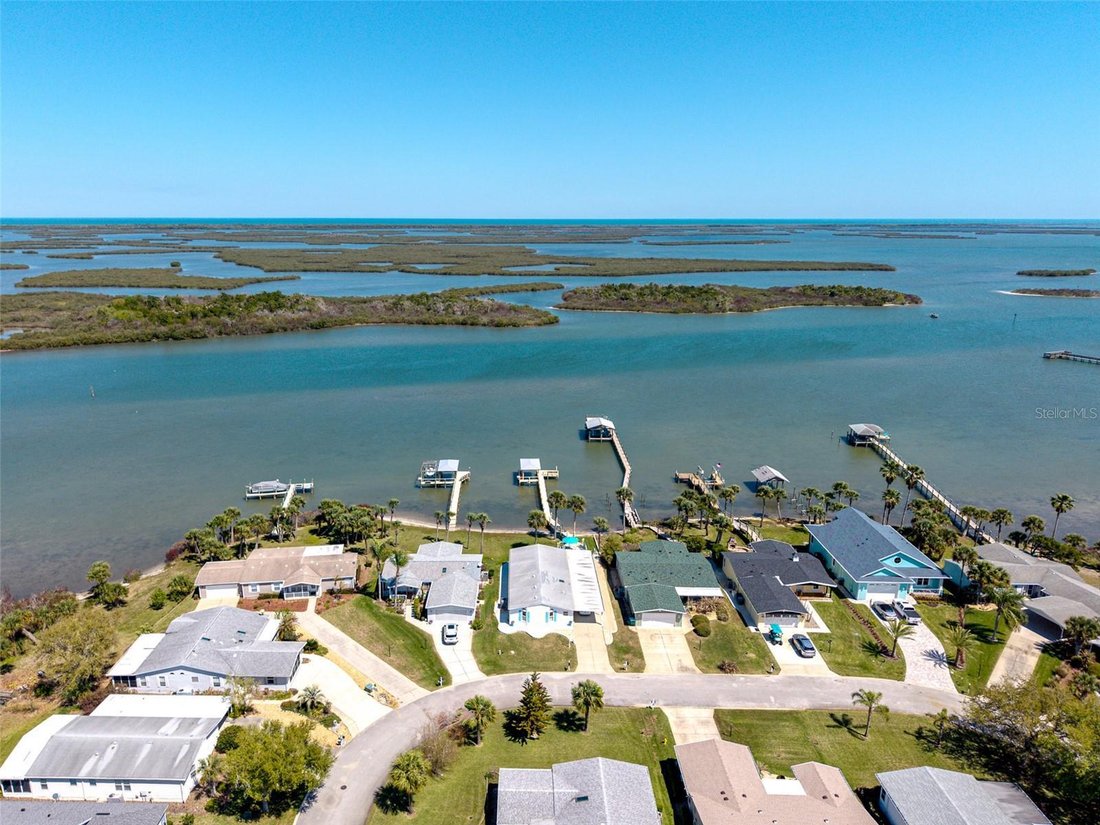 Oak Hill, Florida, United States 3 - 17604513