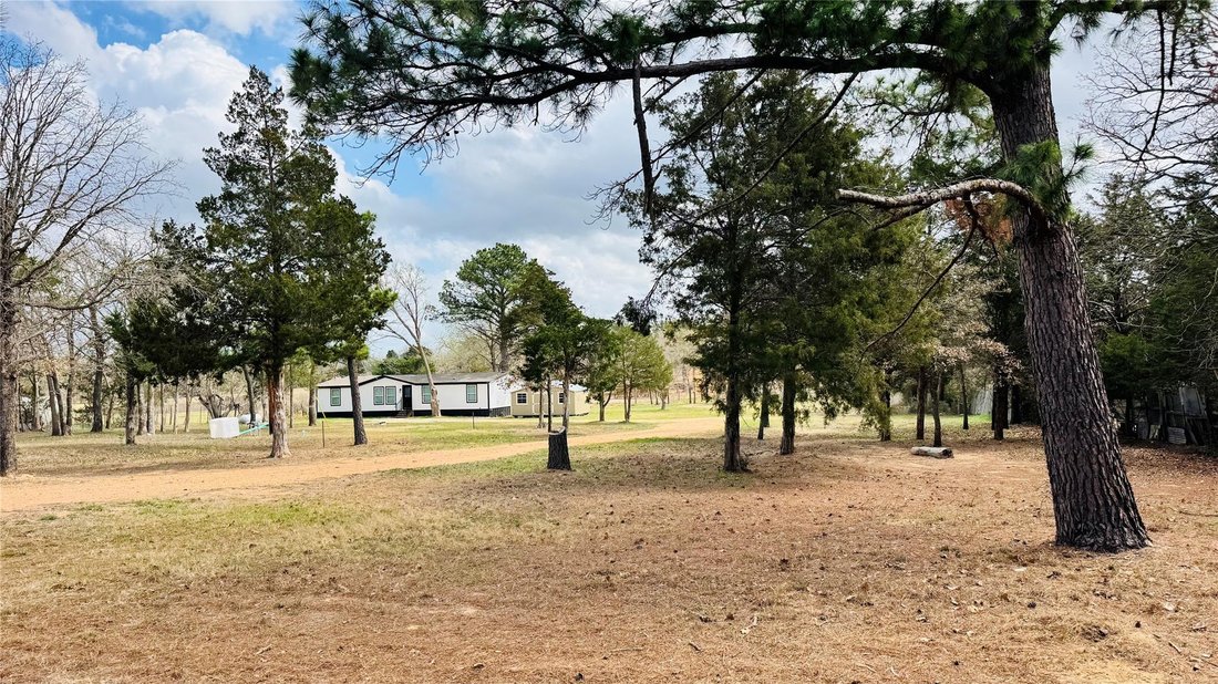 Bastrop, Texas, United States 2 - 17609493