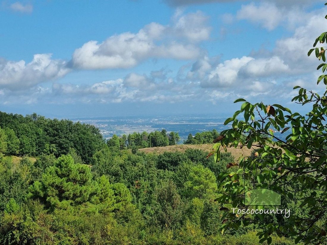 Country House in Chianni, Tuscany, Italy 4 - 17612853