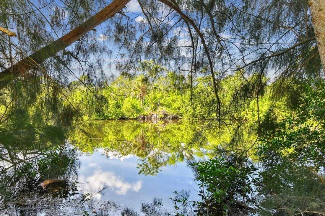 House in Tampa, Florida, United States 3 - 17604984