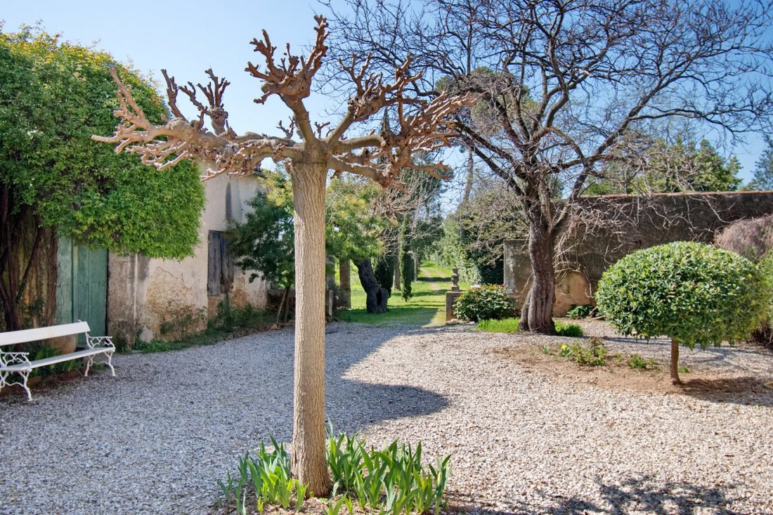 Estate in Saint-Andre-de-Sangonis, Occitania, France 3 - 17599584