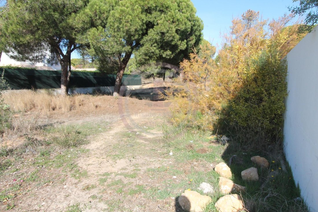 Almancil, Algarve, Portugal 3 - 16573240