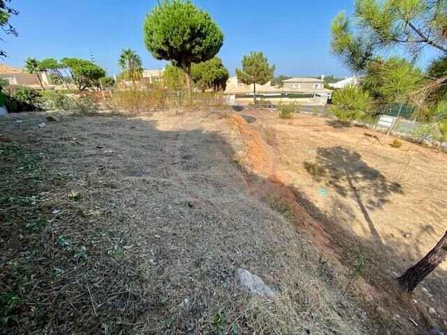Almancil, Algarve, Portugal 5 - 16573230