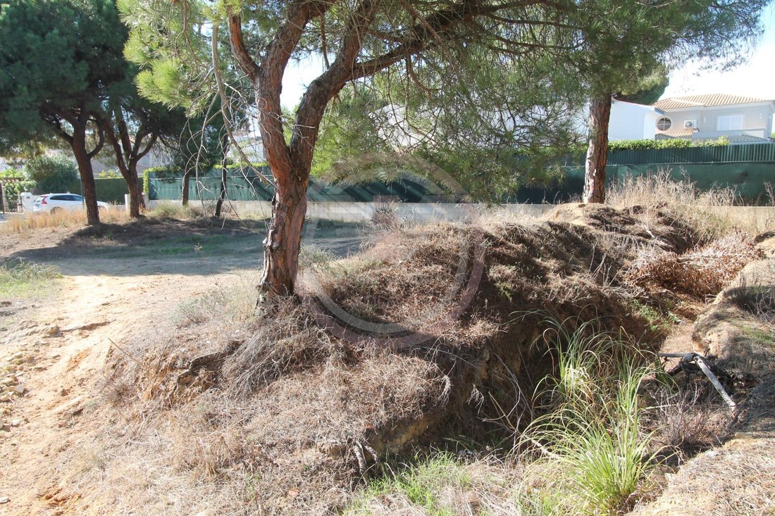 Almancil, Algarve, Portugal 4 - 16573257