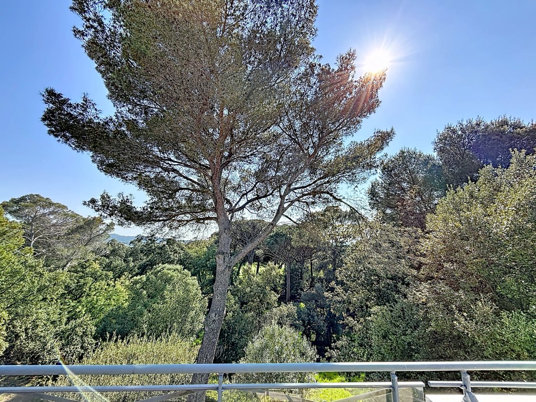 Apartment in Le Dramont-Agay-Anthéor-Le Trayas, Saint-Raphaël, France 5 - 17616366