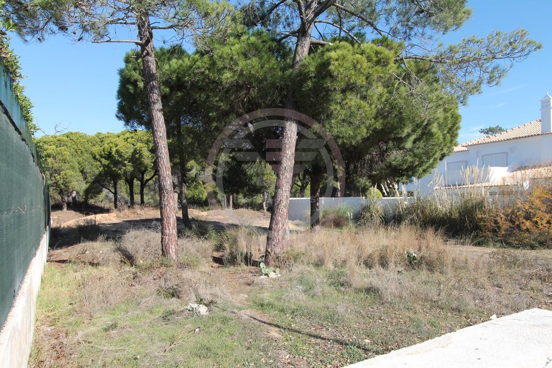 Almancil, Algarve, Portugal 2 - 16573257