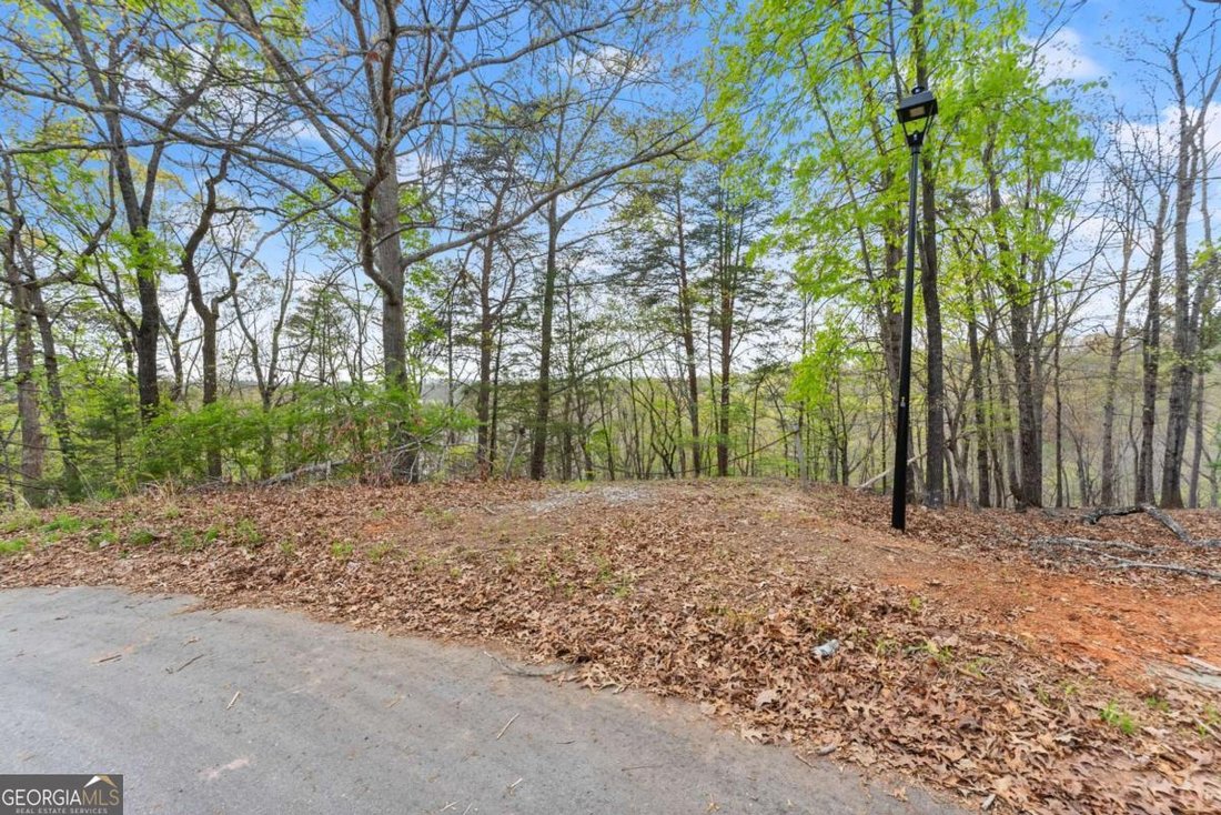 Land in Gainesville, Georgia, United States 3 - 17615983