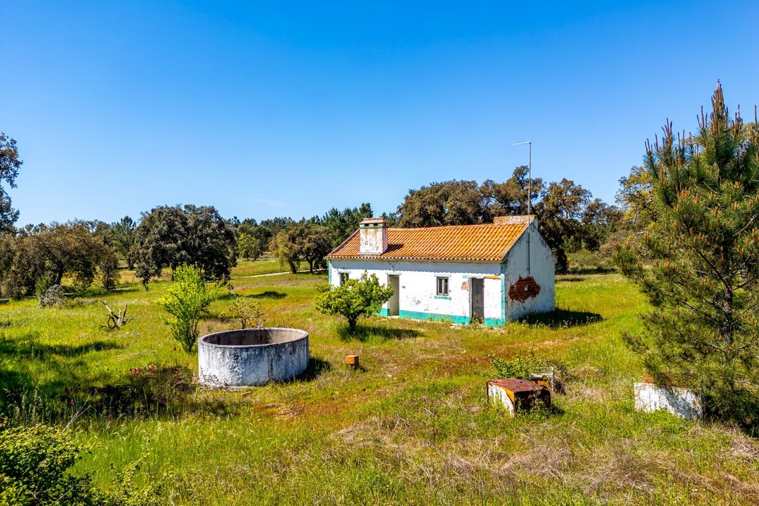 Land in Coruche, Fajarda e Erra, Santarem District, Portugal 2 - 17617496