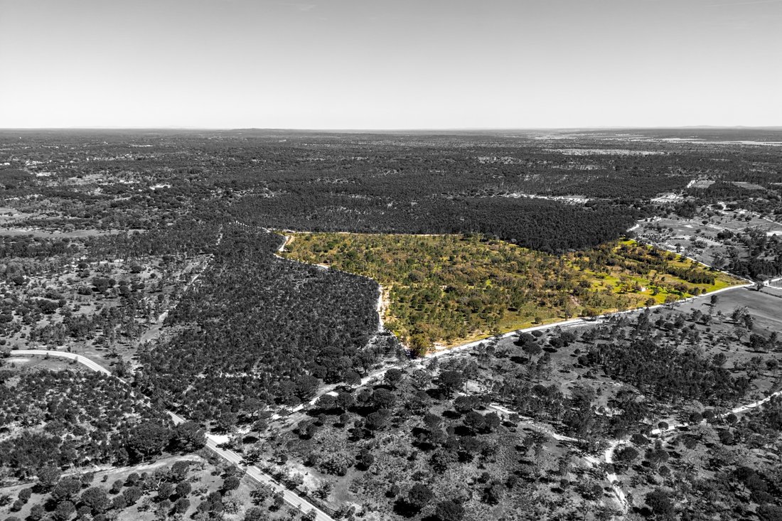 Land in Coruche, Fajarda e Erra, Santarem District, Portugal 5 - 17617496