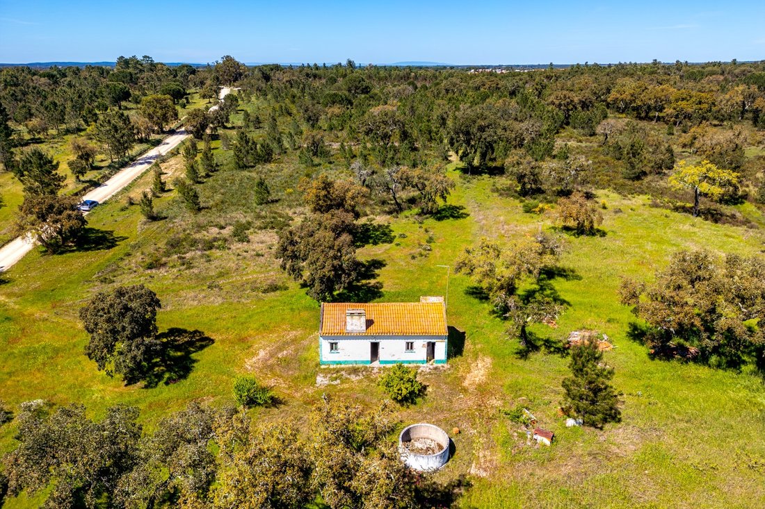 Land in Coruche, Fajarda e Erra, Santarem District, Portugal 1 - 17617496