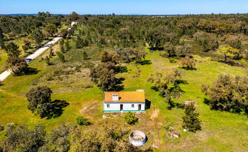 Terreno a Coruche, Fajarda e Erra, Distretto di Santarém, Portogallo 1