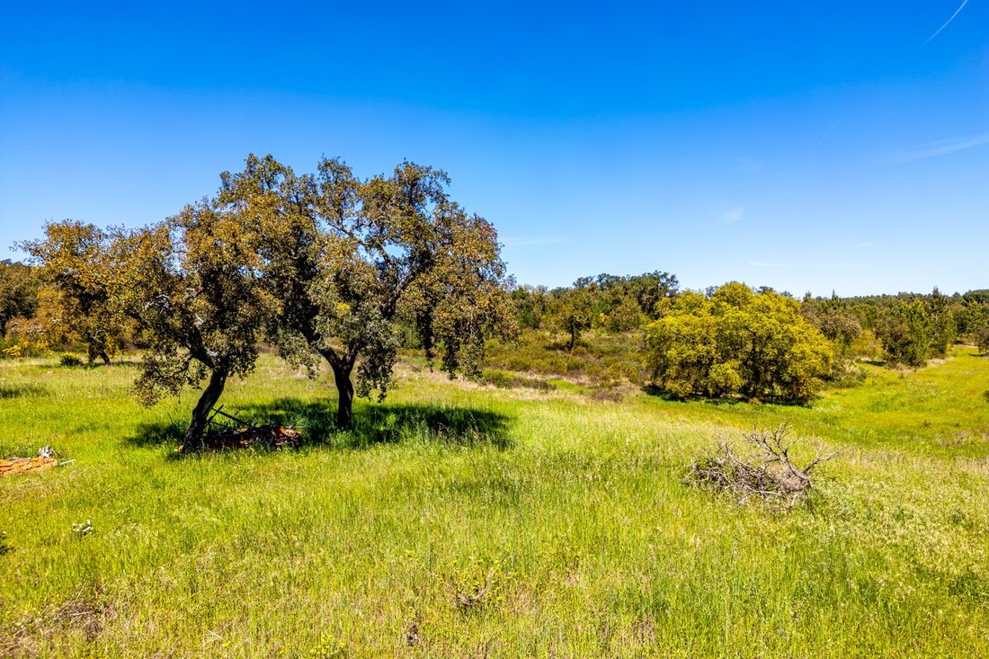 Land in Coruche, Fajarda e Erra, Santarem District, Portugal 4 - 17617496