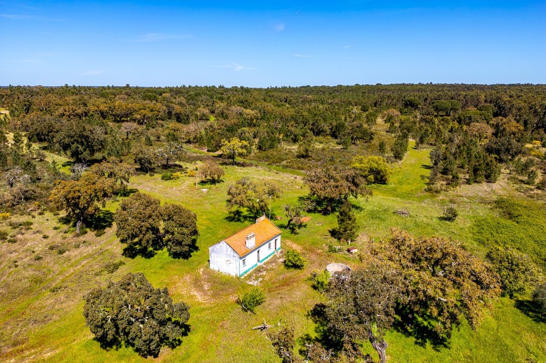 Land in Coruche, Fajarda e Erra, Santarem District, Portugal 3 - 17617496