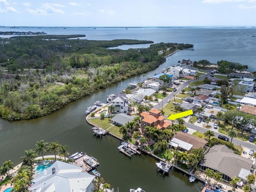 House in Palm Harbor, Florida, United States 5 - 17616904