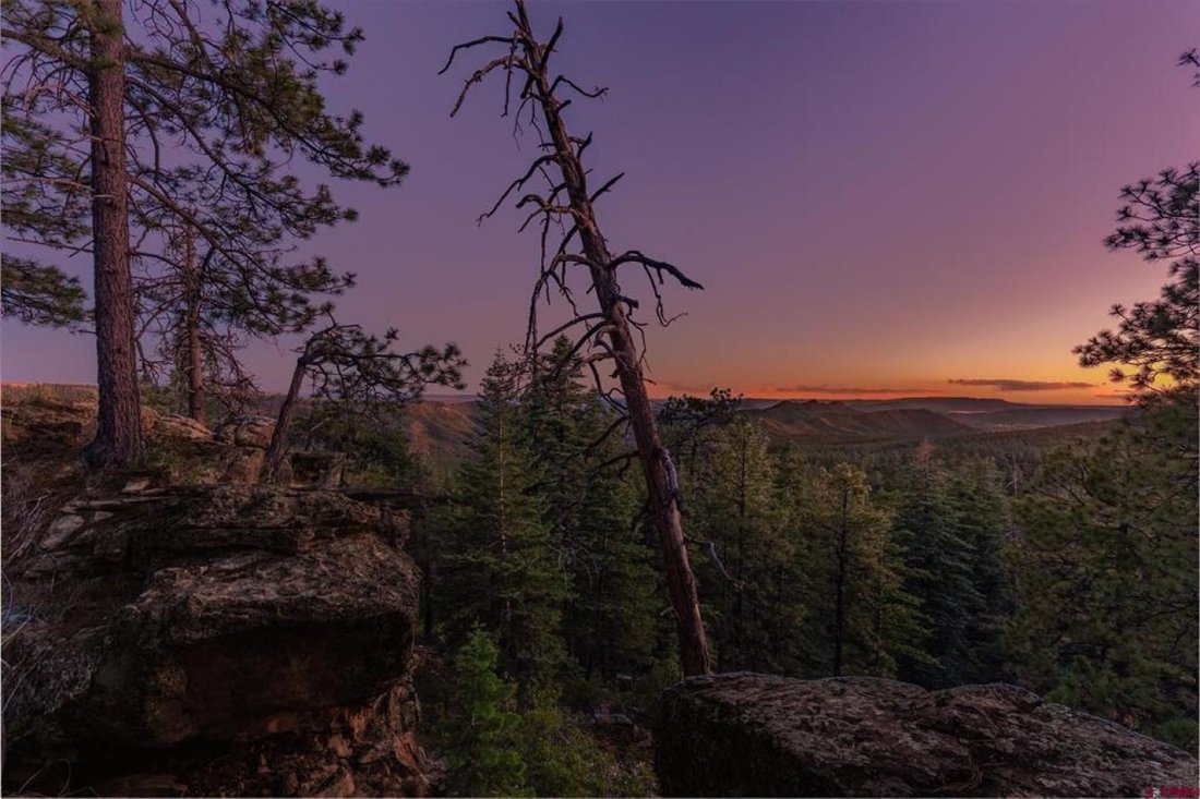House in Durango, Colorado, United States 3 - 17616890