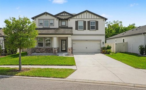 House in Wesley Chapel, Florida, United States 1