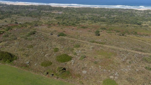 Land in Kouga Local Municipality, Eastern Cape, South Africa 2 - 17617406