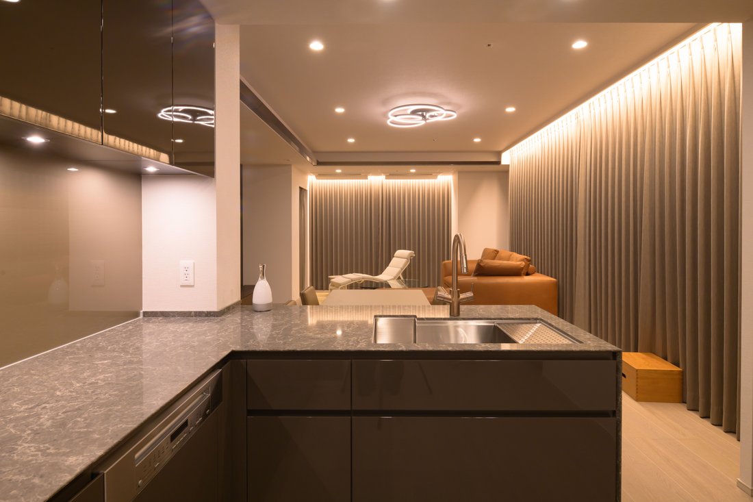 Penthouse in Shibuya City, Tokyo, Japan 3 - 17470258
