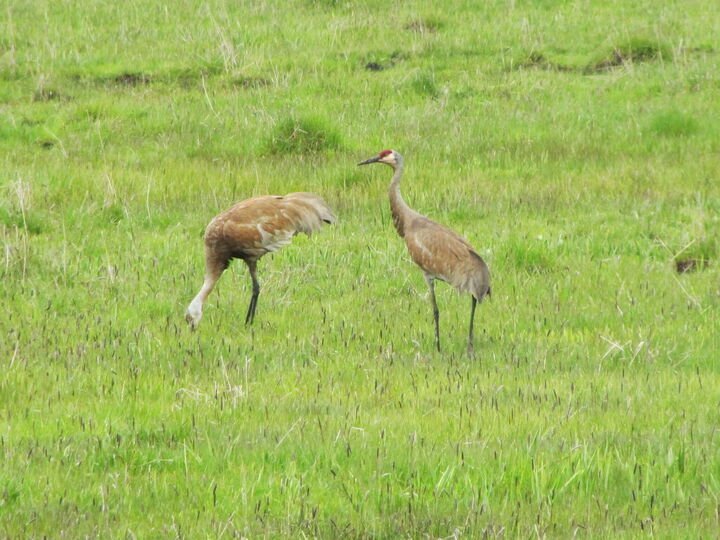 Scenic Mountain Ranch: Your In Klamath Falls, Oregon, Vereinigte ...