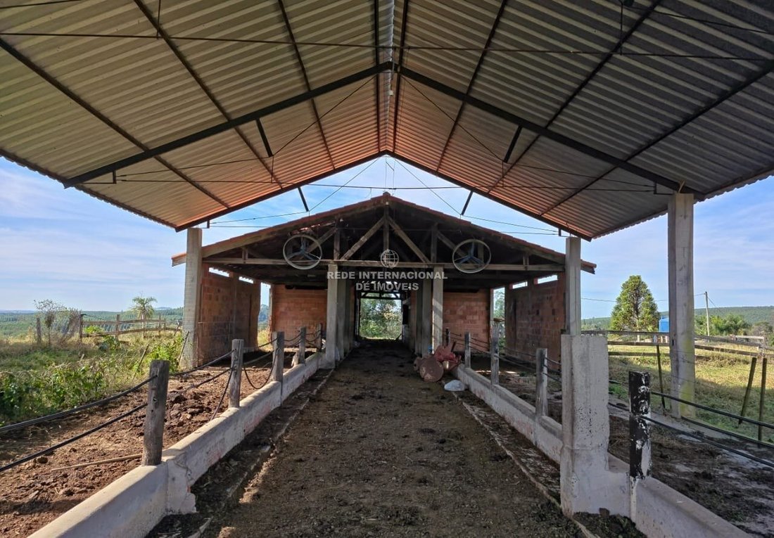 Corps de ferme à Ronco, Paraná, Brésil 2 - 17618495