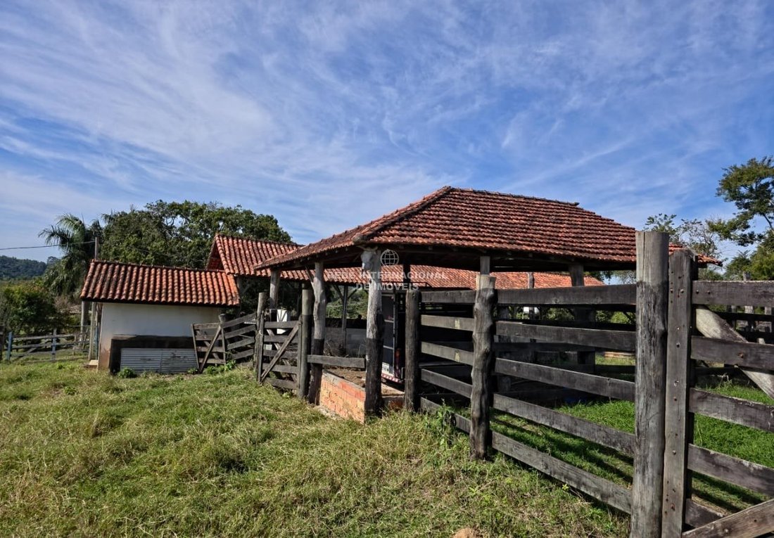 Corps de ferme à Ronco, Paraná, Brésil 4 - 17618495