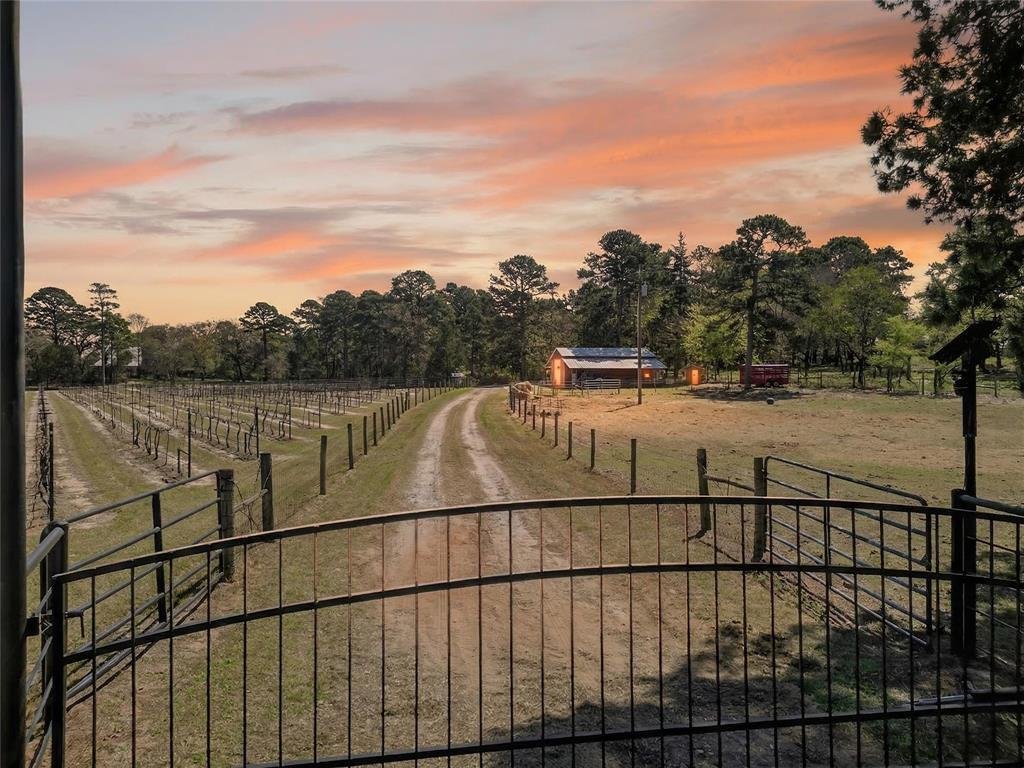 House in Hideaway, Texas, United States 1 - 17618795