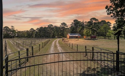 House in Hideaway, Texas, United States 1
