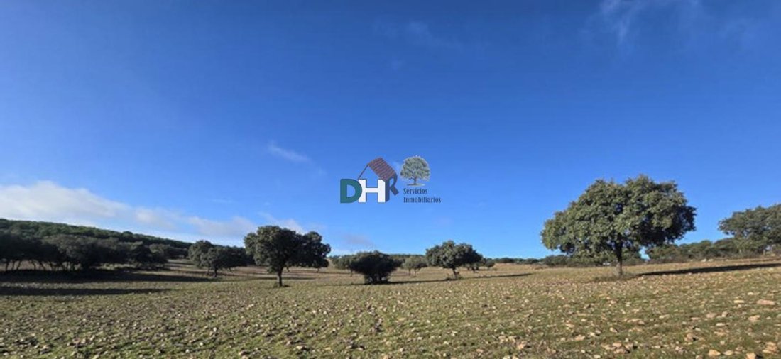 Land in Ciudad Real, Castile-La Mancha, Spain 1 - 17618170