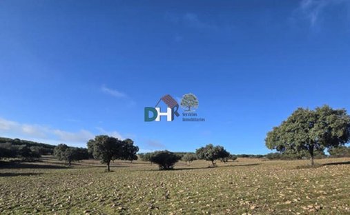 Terreno en Ciudad Real, Castilla-La Mancha, España 1