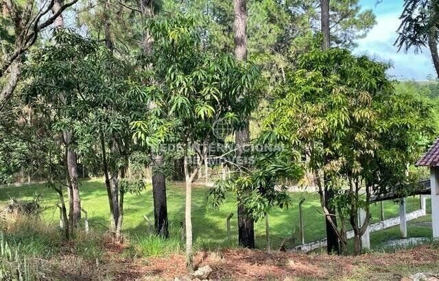 Farm Ranch in Centro, State of Amazonas, Brazil 4 - 17618516