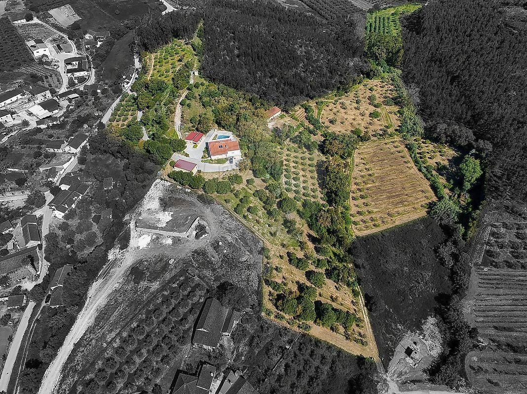 Finca in Sao Sebastiao, Santarem District, Portugal 1 - 17619231