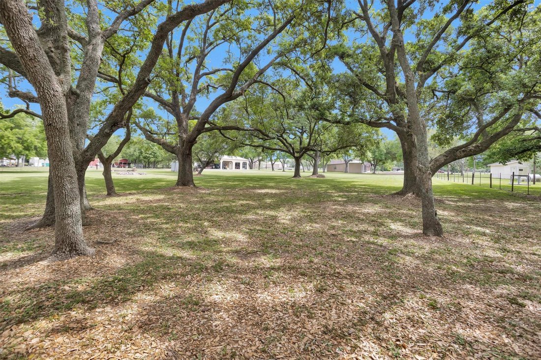 House in Manvel, Texas, United States 4 - 17618674