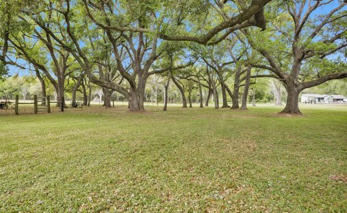 Casa a Manvel, Texas, Stati Uniti 1