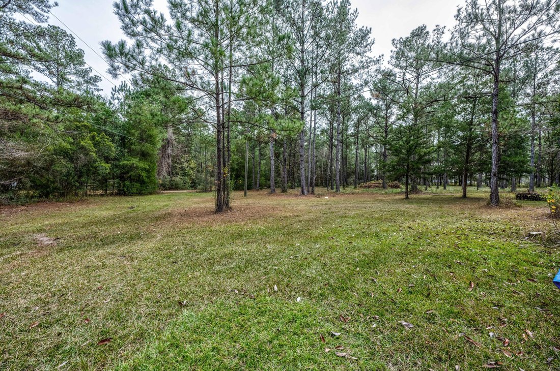 Freeport, Florida, United States 2 - 17617953