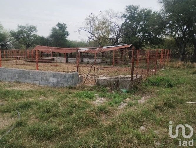 Farm Ranch in Pueblo Nuevo, Nuevo Leon, Mexico 5 - 17619494