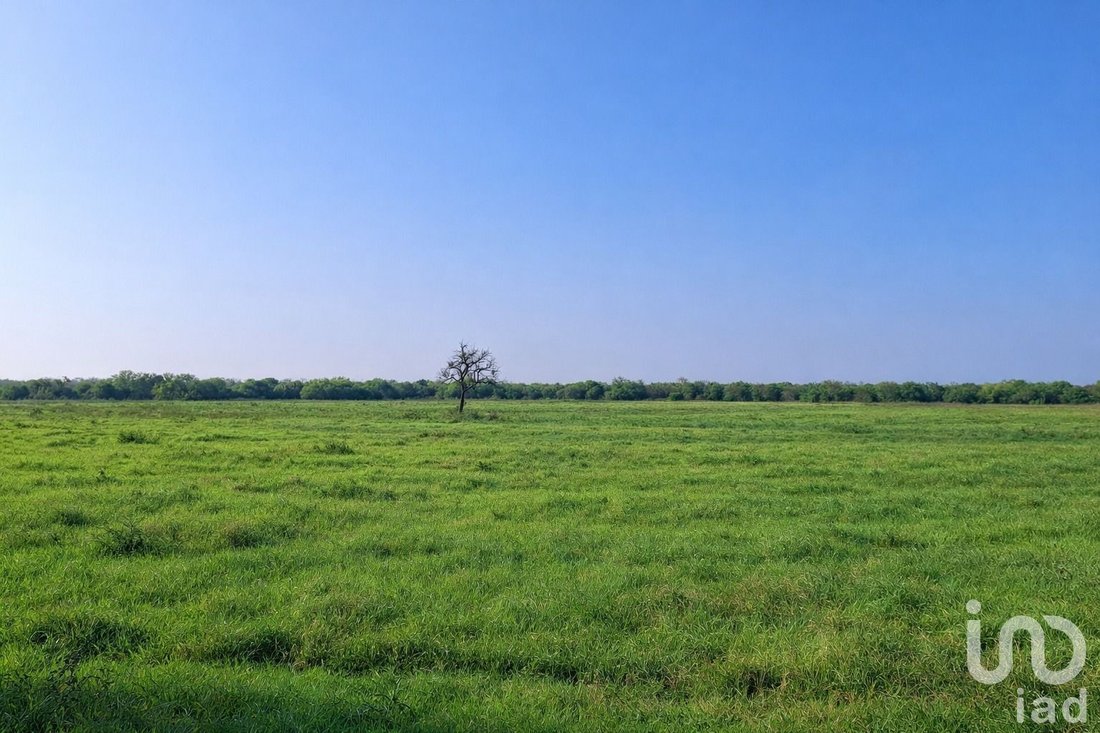 Farm Ranch in Pueblo Nuevo, Nuevo Leon, Mexico 2 - 17619494