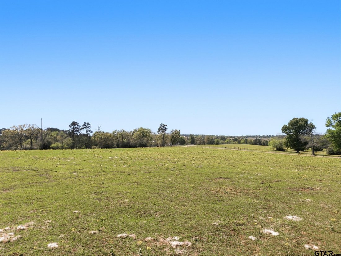Farm Ranch in Grapeland, Texas, United States 3 - 17618340