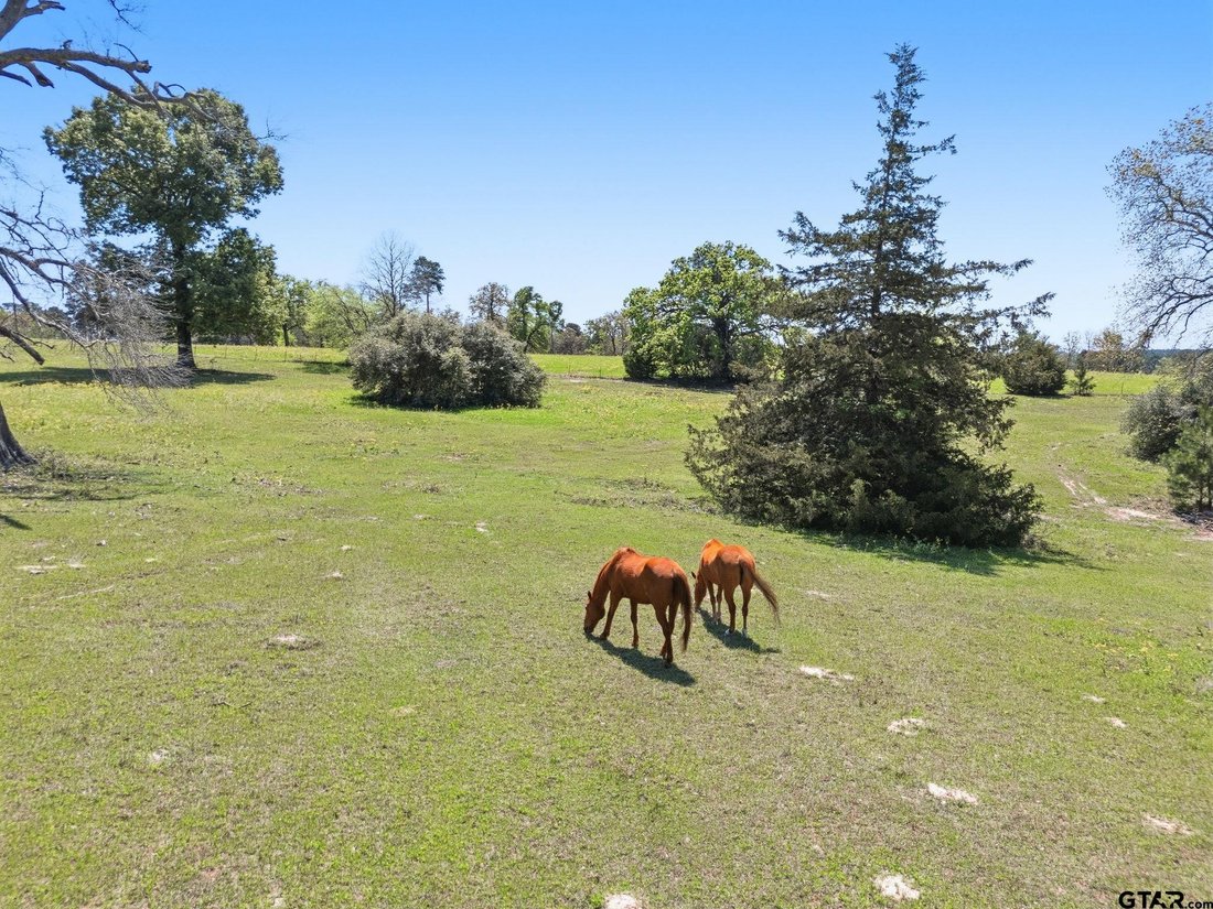 Farm Ranch in Grapeland, Texas, United States 2 - 17618340